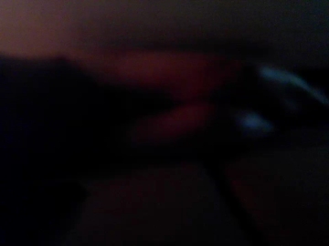 Pitterporz  28-07-2021 Recorded Video Download